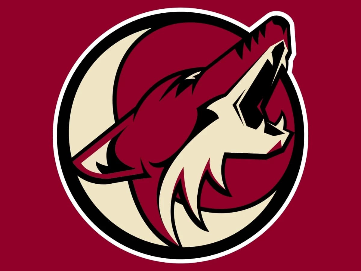 Le coyote du lac salé